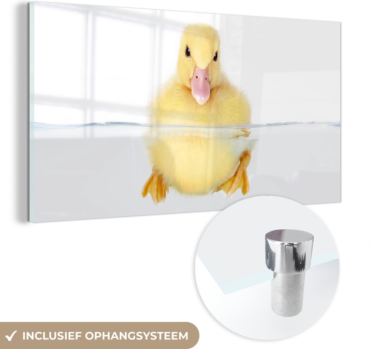 ® Glasschilderij 120x60 cm - Schilderij acrylglas - Zwemmende baby eend - Foto op glas - Muurdecoratie woonkamer - Wanddecoratie slaapkamer - Schilderijen