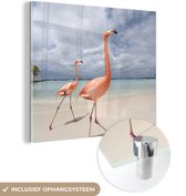 MuchoWow® Glasschilderij 90x90 cm - Schilderij acrylglas - Twee trotse flamingo's lopen over het strand - Foto op glas - Schilderijen