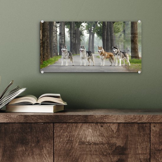 MuchoWow® Peinture sur verre 40x20 cm - Peinture sur verre acrylique - Quatre huskies parmi les arbres - Photo sur verre - Peintures