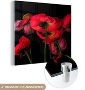 MuchoWow® Glasschilderij 20x20 cm - Schilderij acrylglas - De IJslandse papavers op een zwarte achtergrond - Foto op glas - Schilderijen