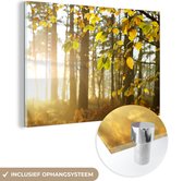 MuchoWow® Peinture sur Verre - Soleil - Lumière - Feuilles - 150x100 cm - Peintures sur Verre Acrylique - Photo sur Glas
