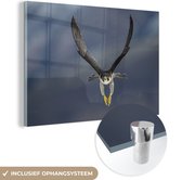 MuchoWow® Glasschilderij 150x100 cm - Schilderij acrylglas - Slechtvalk - Vogel - Veren - Foto op glas - Schilderijen
