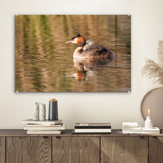 Peinture sur verre - Grèbe nage dans l'eau avec ses petits - 60x40 cm - Peintures sur Verre Peintures - Photo sur Glas