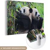 MuchoWow® Glasschilderij 90x60 cm - Schilderij acrylglas - Panda - Bamboe - Natuur - Foto op glas - Schilderijen