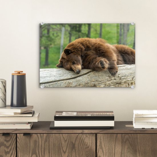 MuchoWow® Peinture sur verre 30x20 cm - Peinture sur verre acrylique - ours brun dormant sur une souche d'arbre - Photo sur verre - Peintures