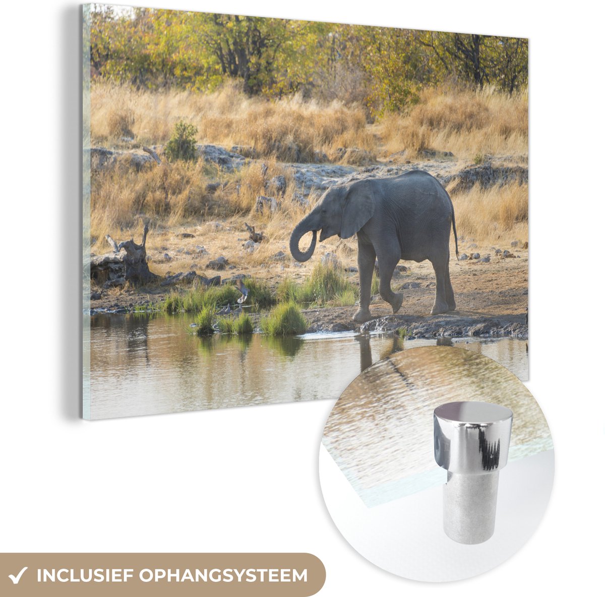 ® Glasschilderij 150x100 cm - Schilderij acrylglas - Baby olifant aan een plas met water in Namibië - Foto op glas - Muurdecoratie woonkamer - Wanddecoratie slaapkamer - Schilderijen