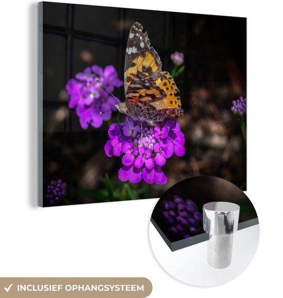 MuchoWow® Glasschilderij 120x90 cm - Schilderij acrylglas - Distelvlinder op een paarse bloem - Foto op glas - Schilderijen