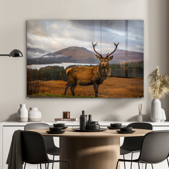 Peintures Plexiglas - Cerf - Berg - Water - 120x80 cm - Peinture sur verre