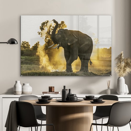 Peintures Plexiglas - Éléphant - Soleil - Animaux - 120x80 cm - Peinture sur verre