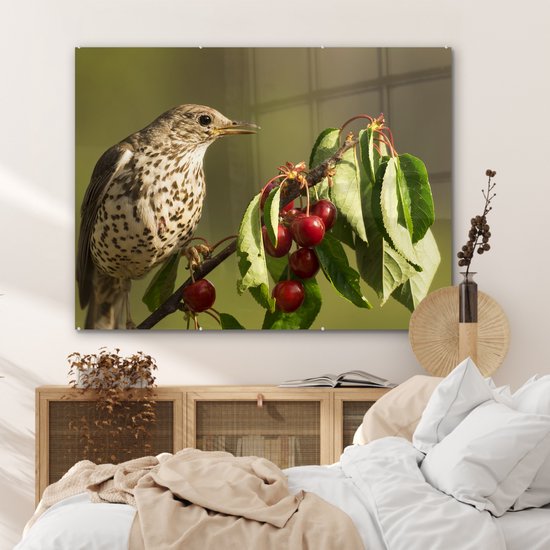 MuchoWow® Peinture sur verre - Vogel sur une branche - 120x90 cm - Peintures sur verre acrylique - Photo sur Glas