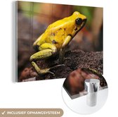 MuchoWow® Peinture sur verre 180x120 cm - Peinture sur verre acrylique - Grenouille - Jaune - Forêt - Photo sur verre - Peintures