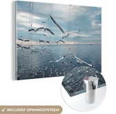 MuchoWow® Glasschilderij 90x60 cm - Schilderij acrylglas - Close-up zwerm van zeemeeuwen - Foto op glas - Schilderijen