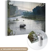 MuchoWow® Glasschilderij 60x40 cm - Schilderij acrylglas - Neushoorn steekt de rivier over in het Nationaal park Chitwan in Nepal - Foto op glas - Schilderijen