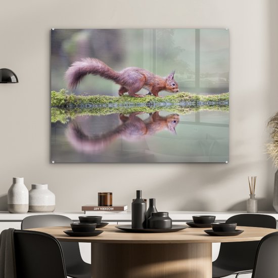 Peinture sur Verre - Écureuil - Mousse - Water - Reflet - 80x60 cm - Peintures sur Verre Acrylique - Photo sur Glas