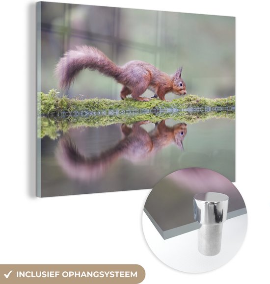 Peinture sur Verre - Écureuil - Mousse - Water - Reflet - 80x60 cm - Peintures sur Verre Acrylique - Photo sur Glas