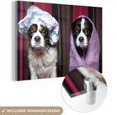 MuchoWow® Glasschilderij 30x20 cm - Schilderij acrylglas - Close-up van twee honden die net een bad hebben gehad - Foto op glas - Schilderijen