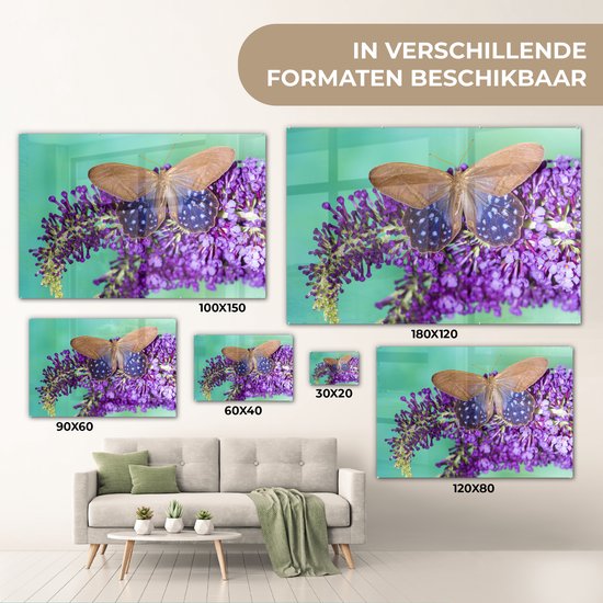 Papillon exotique sur le buisson de papillons Plexiglas 90x60 cm - Tirage photo sur Glas (décoration murale en plexiglas)
