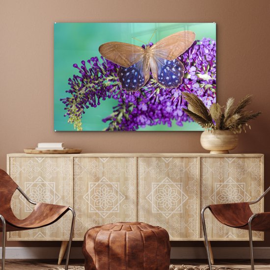 Papillon exotique sur le buisson de papillons Plexiglas 90x60 cm - Tirage photo sur Glas (décoration murale en plexiglas)