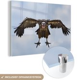 MuchoWow® Glasschilderij 120x80 cm - Schilderij acrylglas - Een vliegende, bruine gier - Foto op glas - Schilderijen