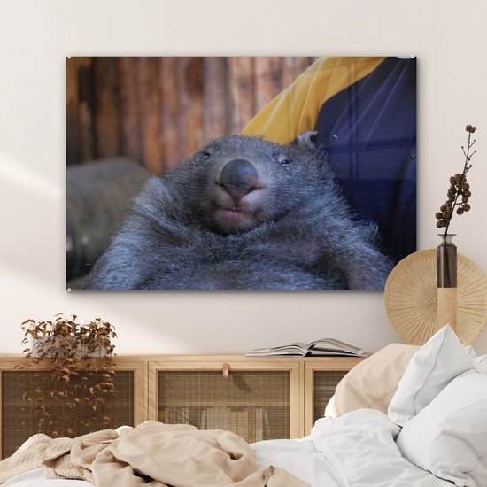 MuchoWow® Peinture sur verre 120x80 cm - Peinture sur verre acrylique - Gros plan wombat endormi - Photo sur verre - Peintures