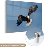MuchoWow® Glasschilderij 150x100 cm - Schilderij acrylglas - Zeearend - Vliegen - Vogel - Foto op glas - Schilderijen