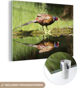 MuchoWow® Glasschilderij 120x90 cm - Schilderij acrylglas - Fazant - Water - Reflectie - Foto op glas - Schilderijen