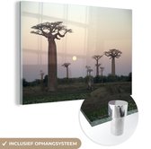 MuchoWow® Glasschilderij 30x20 cm - Schilderij acrylglas - De zonsondergang achter verschillende Afrikaanse baobabs in Madagaskar - Foto op glas - Schilderijen