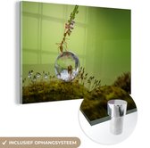 MuchoWow® Glasschilderij 30x20 cm - Schilderij acrylglas - Mier zit op waterdruppel - Foto op glas - Schilderijen