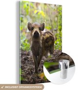 MuchoWow® Glasschilderij 120x180 cm - Schilderij acrylglas - Everzwijn - Bos - Dier - Foto op glas - Schilderijen