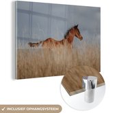 MuchoWow® Glasschilderij 120x80 cm - Schilderij acrylglas - Paard - Lucht - Gras - Foto op glas - Schilderijen