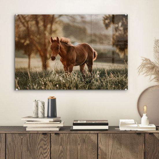 MuchoWow® Peinture sur verre - Cheval - Lumière - Prairie - 60x40 cm - Peintures sur verre acrylique - Photo sur Glas