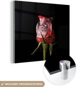 MuchoWow® Glasschilderij 50x50 cm - Schilderij acrylglas - Rozen - Bloemen - Verf - Foto op glas - Schilderijen