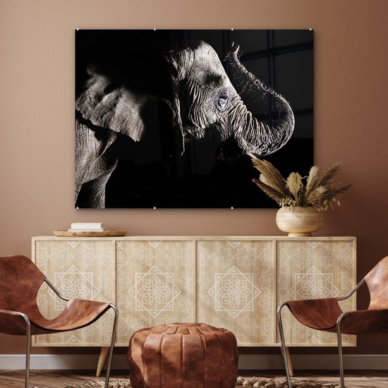 MuchoWow® Peinture sur verre - Éléphant - Zwart - Animaux - Nature - 120x90 cm - Peintures sur verre acrylique - Photo sur Glas