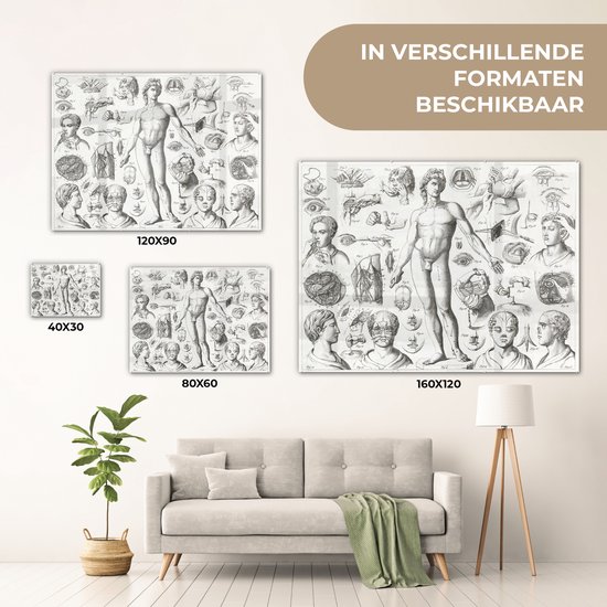 MuchoWow® Glasschilderij 120x90 cm - Schilderij acrylglas - Illustraties van verschillende chirurgische ingrepen - Foto op glas - Schilderijen