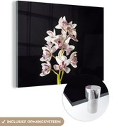 MuchoWow® Glasschilderij 80x60 cm - Schilderij acrylglas - Een witte orchidee tegen een zwarte achtergrond - Foto op glas - Schilderijen