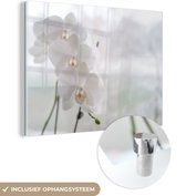 MuchoWow® Peinture sur verre 80x60 cm - Peinture sur verre acrylique - Les orchidées blanches derrière la fenêtre - Photo sur verre - Peintures
