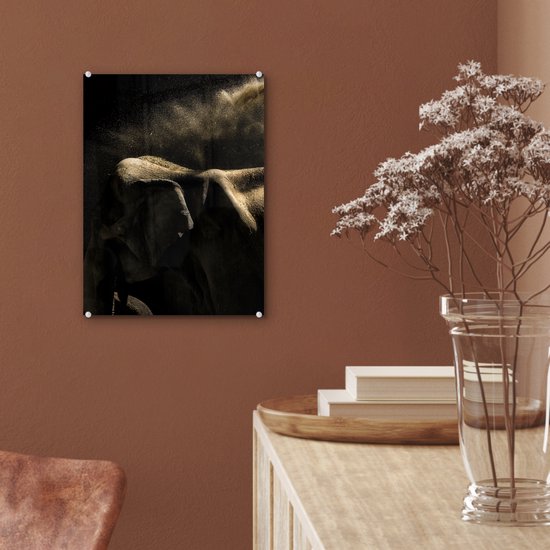 MuchoWow® Peinture sur verre 30x40 cm - Peinture sur verre acrylique - Éléphant - Boue - Animaux - Zwart - Photo sur verre - Peintures