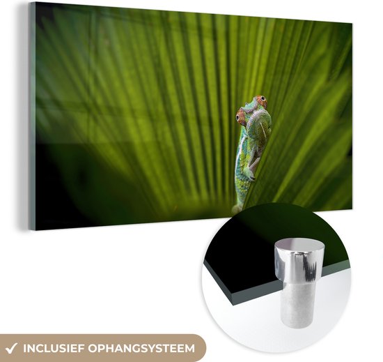 MuchoWow® Glasschilderij 120x60 cm - Schilderij acrylglas - Kameleon in groot exotisch blad - Foto op glas - Schilderijen