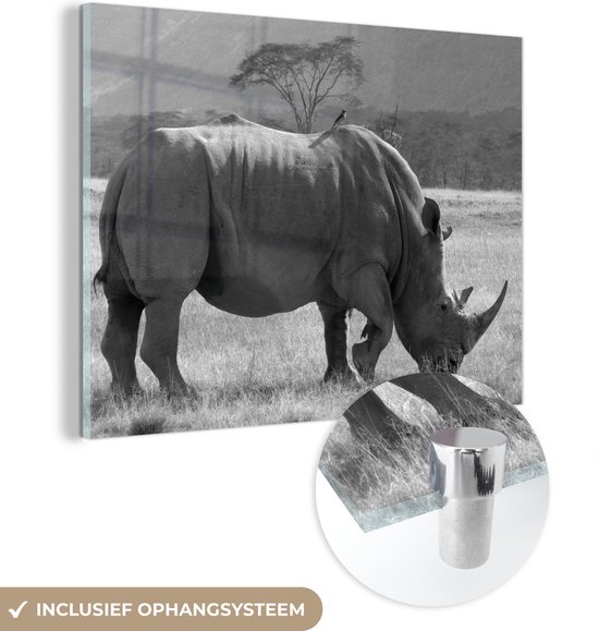 MuchoWow® Glasschilderij 40x30 cm - Schilderij acrylglas - Witte neushoorn in het Nakuru Lake - zwart wit - Foto op glas - Schilderijen