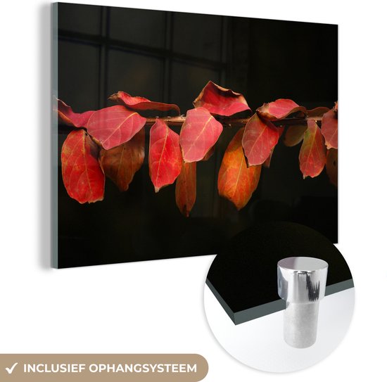MuchoWow® Peinture sur Verre - Les Feuilles Rouges sur Fond Noir - 90x60 cm  