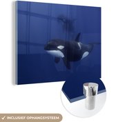 MuchoWow® Glasschilderij 120x90 cm - Schilderij acrylglas - Twee orka's in helder water - Foto op glas - Schilderijen