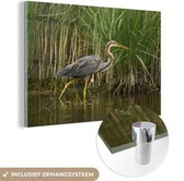 MuchoWow® Glasschilderij 90x60 cm - Schilderij acrylglas - Purperreiger loopt door het ondiepe water - Foto op glas - Schilderijen