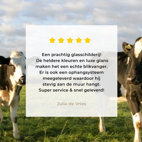 Trois vaches frisonnes dans un cadre magnifique Plexiglas 160x80 cm - Tirage photo sur verre (décoration murale plexiglas)