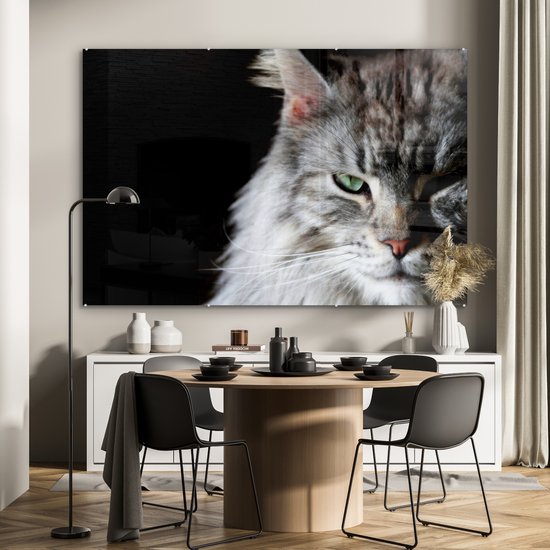 Portrait d'un chat Maine Coon couleur grise Plexiglas 180x120 cm - Tirage photo sur Glas (décoration murale plexiglas) XXL / Groot format!