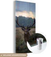 MuchoWow® Glasschilderij 80x160 cm - Schilderij acrylglas - Hert - Weiland - Gewei - Foto op glas - Schilderijen