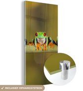 MuchoWow® Peinture sur verre 60x120 cm - Peinture sur verre - Grenouilles - Branche - Photo sur verre acrylique - Peintures