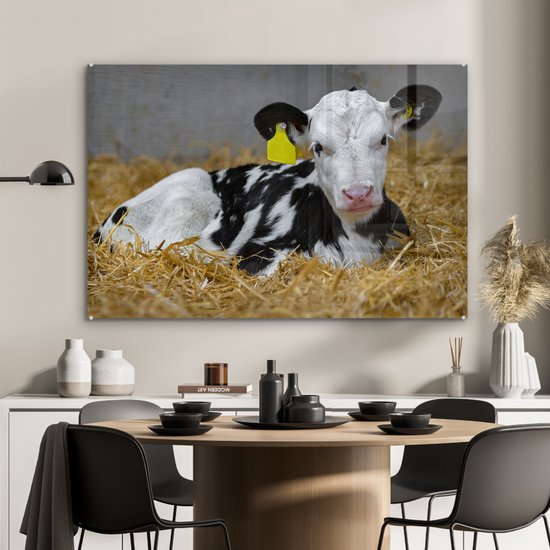 MuchoWow® Glasschilderij 120x80 cm - Schilderij acrylglas - Koe - Stro - Kalf - Dier - Foto op glas - Schilderijen