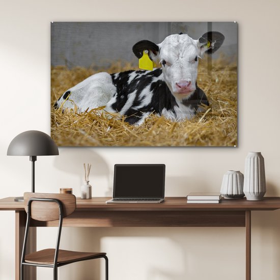 MuchoWow® Glasschilderij 120x80 cm - Schilderij acrylglas - Koe - Stro - Kalf - Dier - Foto op glas - Schilderijen
