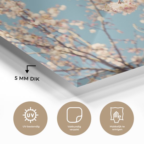 Blossom Glass 90x60 cm - Tirage photo sur verre (décoration murale en plexiglas)