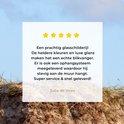 Afbeelding nummer  9